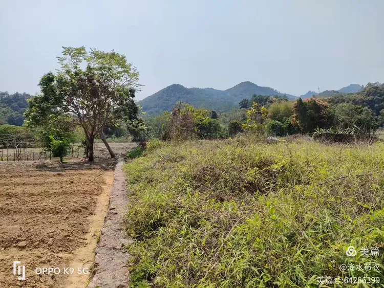 五绝·到仙洞村